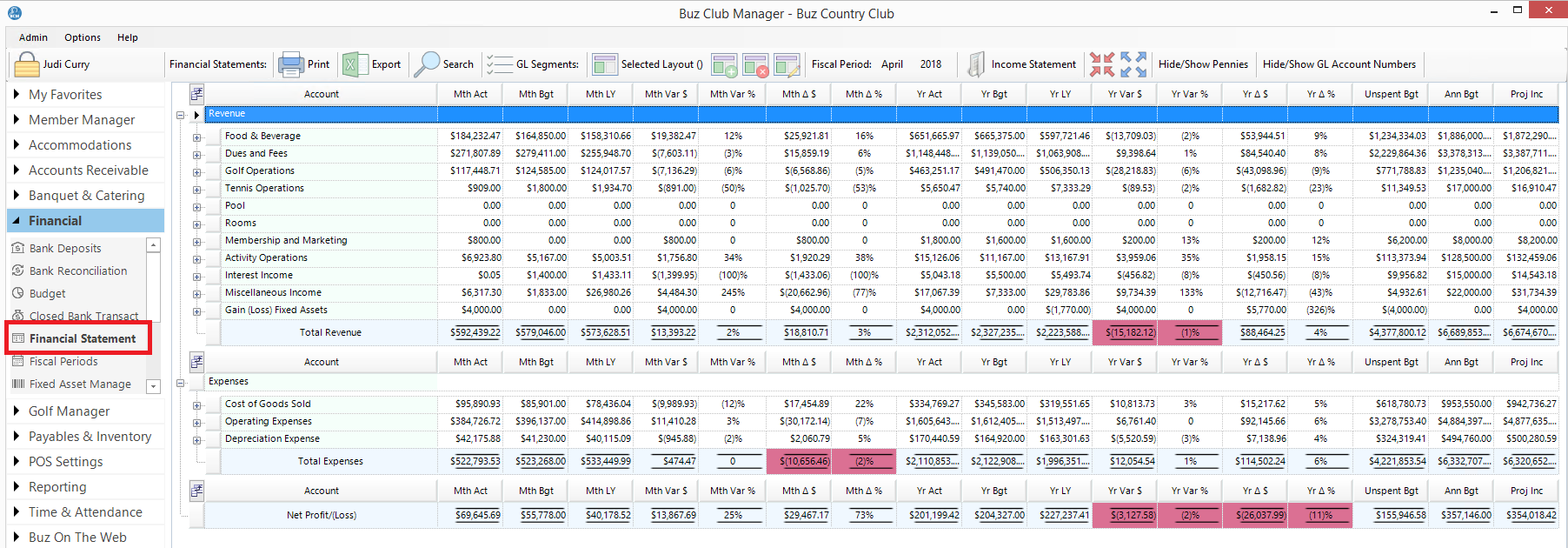 Financial Statements - Buz Docs